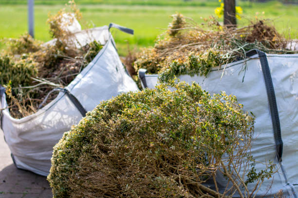 Best Shed Removal  in Blaine, WA