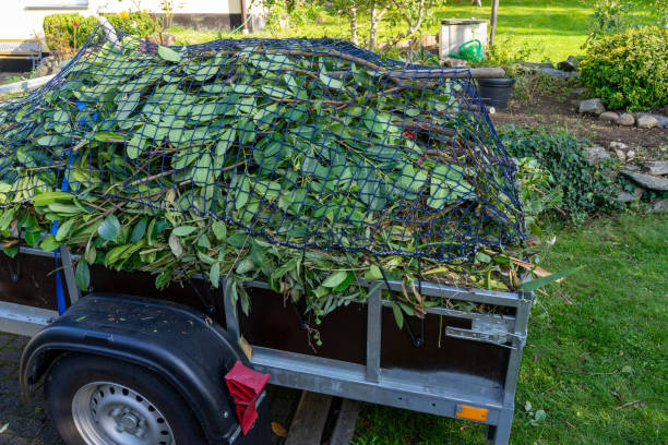 Moving and Downsizing Cleanouts in Blaine, WA